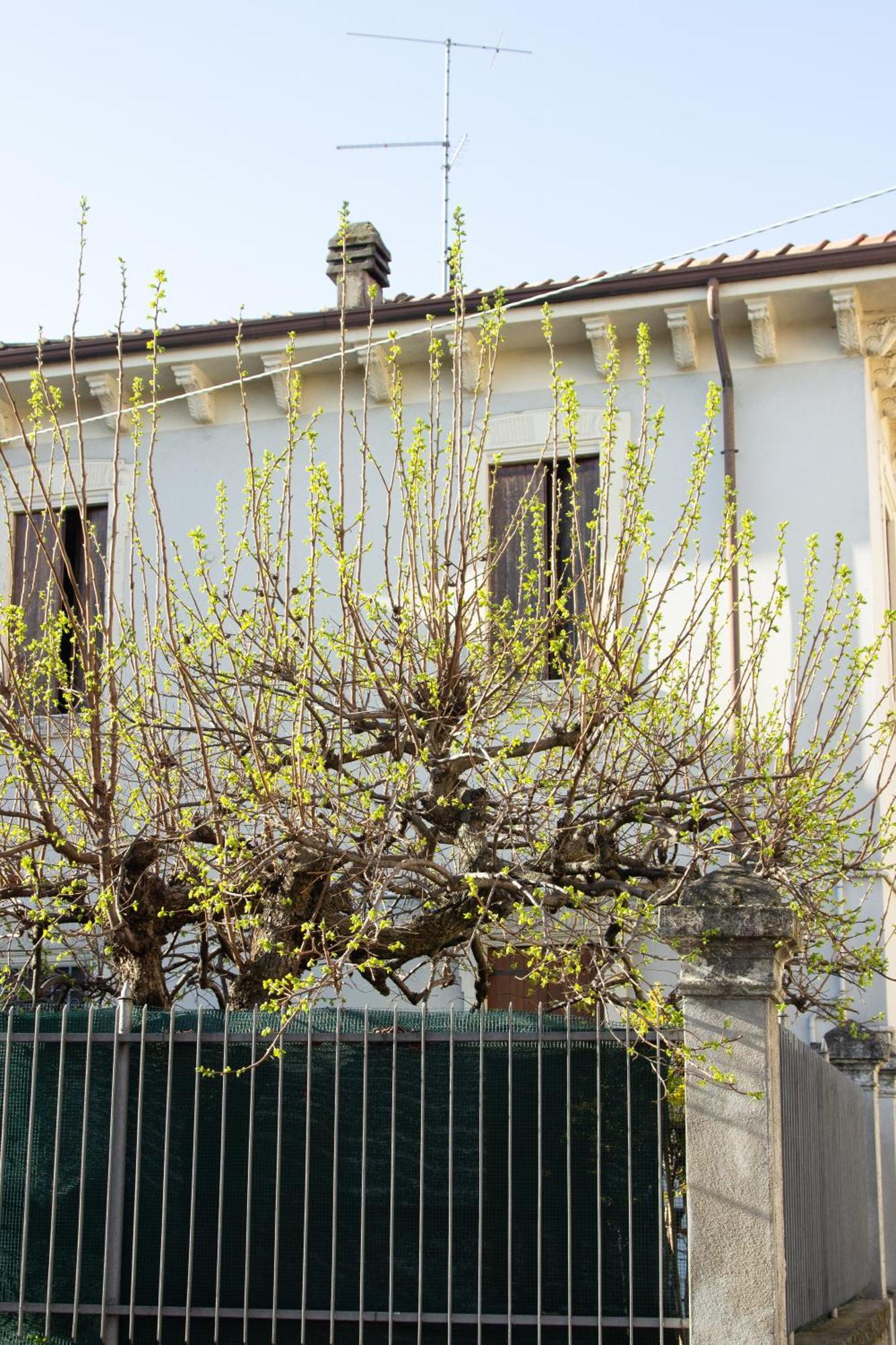 Verona Nest Luaran gambar