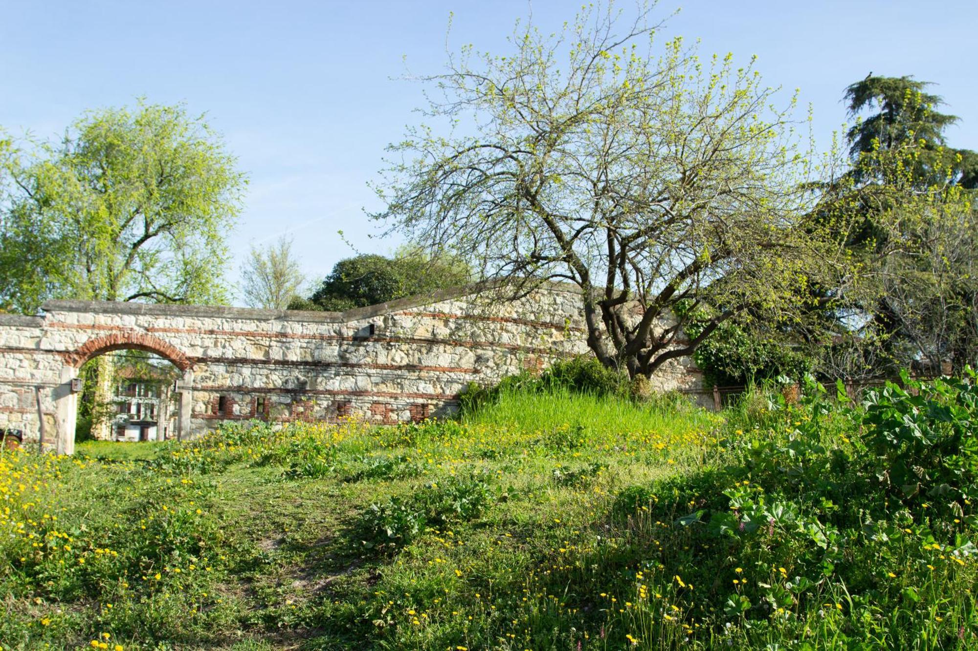 Verona Nest Luaran gambar